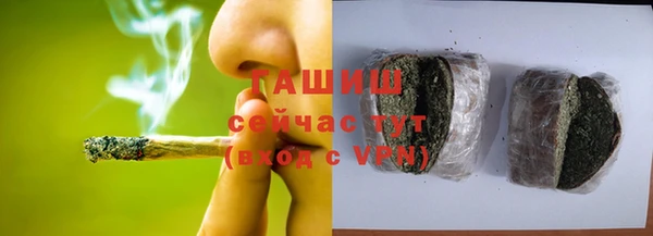индика Семилуки