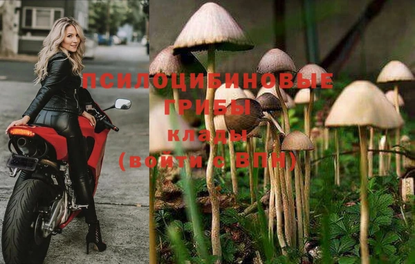 прущая мука Беломорск