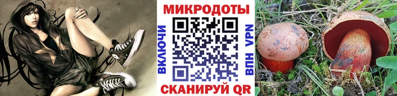 закладки  Верхняя Пышма  Галлюциногенные грибы GOLDEN TEACHER 